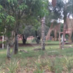 Chácara para venda no Aracê de Santo Antonio I