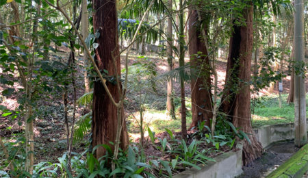 Terreno à venda no condomínio Chácara Flora, São Paulo - SP