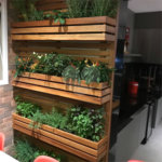 Condomínio Luzes da Mooca Apartamento 204 m² 4 suítes 4 vagas Condominio Clube.