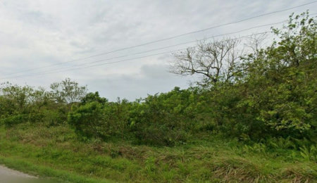 Terreno à venda, 10000 m² por R$ 8.500.000,00 - Cing - Guarujá/SP