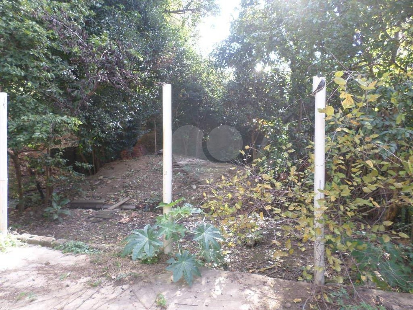 Terreno à venda ou para alugar em Água Fria, São Paulo, SP