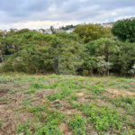 Terreno à venda em Bosque, Vinhedo, SP