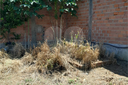 Terreno no Planalto Paraíso