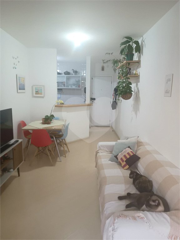 Apartamento à venda com 2 quartos, sendo 1 suíte, em Mandaqui, São Paulo, SP