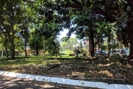 Casa Térrea à venda com 3 quartos, sendo 1 suíte, em Jardim Marajoara, São Paulo, SP