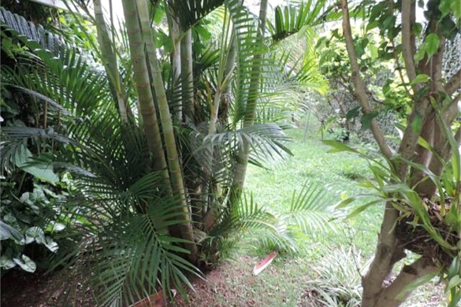 Sobrado à venda com 3 suítes em Pirituba, São Paulo, SP