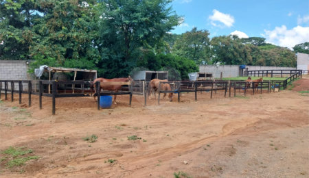 Terreno à venda em Parque das Bandeiras 2, Indaiatuba, SP
