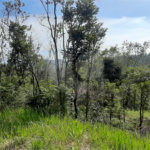 Terreno à venda em São Vicente, Mairiporã, SP