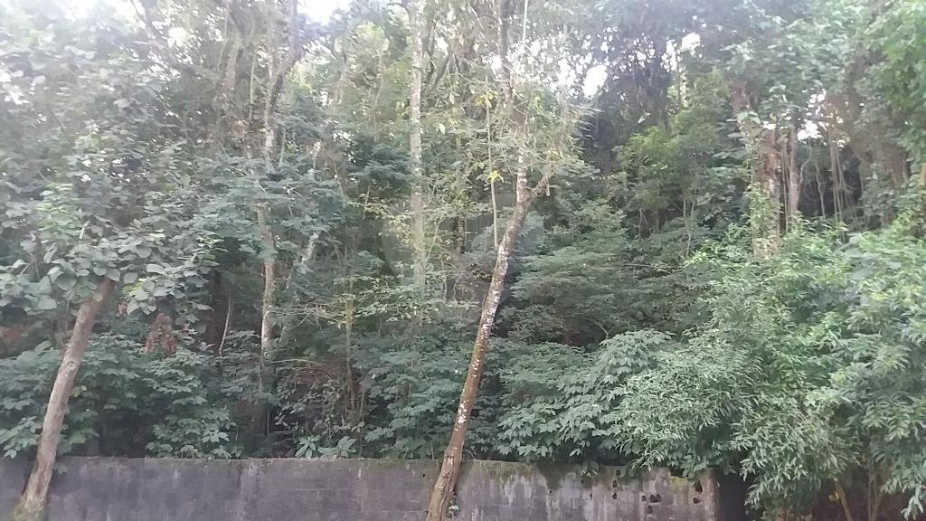 Terreno à venda em Tucuruvi, São Paulo, SP