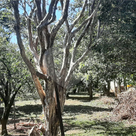 Terreno à venda em Vila Guido, Itu, SP