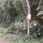 Terreno à venda em Serra da Cantareira, Mairiporã, SP