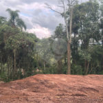Terreno à venda em Serra da Cantareira, Mairiporã, SP
