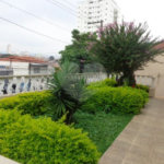 Casa Térrea à venda com 3 suítes em Vila Gustavo, São Paulo, SP