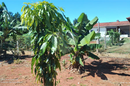 Chácara à venda em Campo Grande, Pilar do Sul, SP