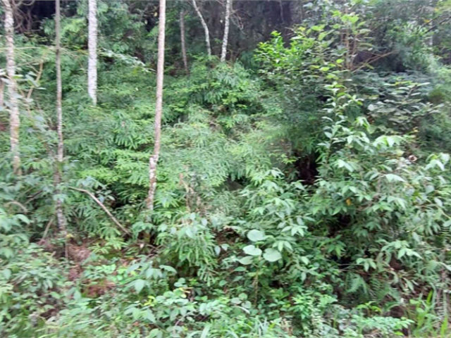 Terreno à venda no condomínio Sausalito, Mairiporã - SP