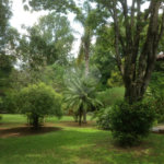 Casa à venda com 5 quartos, sendo 3 suítes, em Recanto das Flores, Indaiatuba, SP