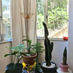 Apartamento à venda com 2 quartos no Centro, Rio de Janeiro, RJ