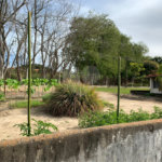 Sítio à venda ou para alugar com 3 suítes em Parque Residencial Indaiá, Indaiatuba, SP