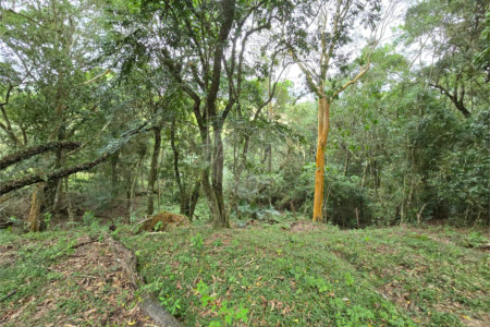 Sítio à venda com 6 quartos, sendo 5 suítes, em Área Rural de Itapetininga, Itapetininga, SP