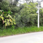 Chácara à venda em Serra da Cantareira, Mairiporã, SP