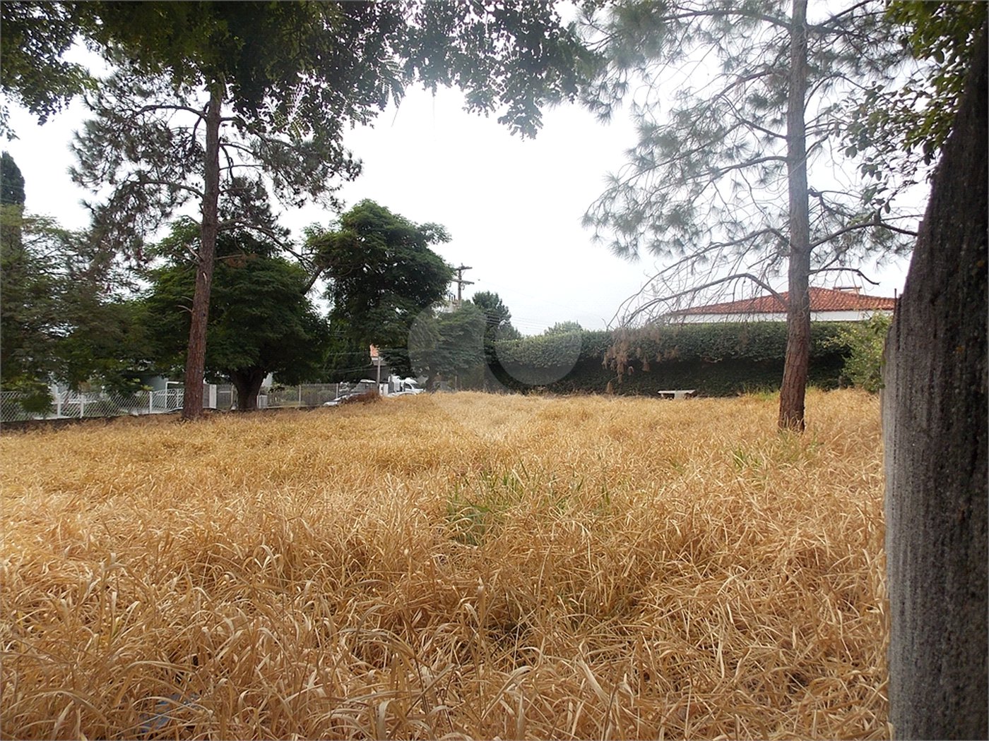 Terreno à venda em Samambaia Parque Residencial, Atibaia, SP