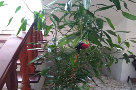 Chácara à venda com 4 suítes em Vale das Laranjeiras, Indaiatuba, SP