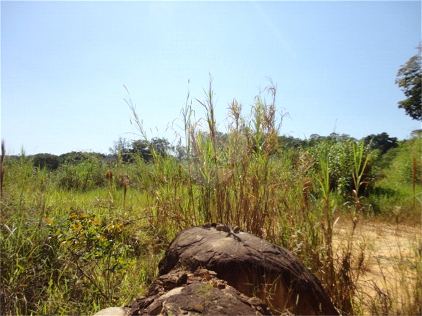 Terreno à venda ou para alugar em Cachoeira, Vinhedo, SP