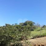 Sítio à venda com 9 quartos, sendo 7 suítes, no Centro, Monteiro Lobato, SP