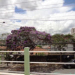 Sobrado à venda com 3 quartos, sendo 1 suíte, em Imirim, São Paulo, SP