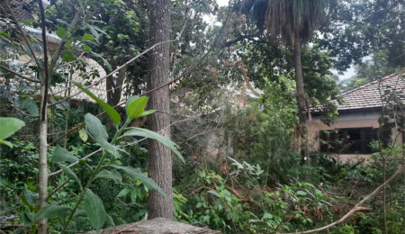 Terreno à venda em Alto da Boa Vista, São Paulo, SP