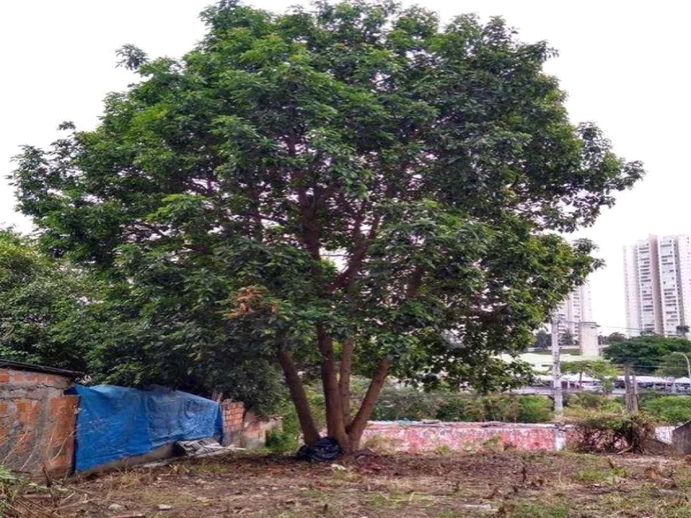 Terreno à venda em Jardim Cambara, São Paulo, SP