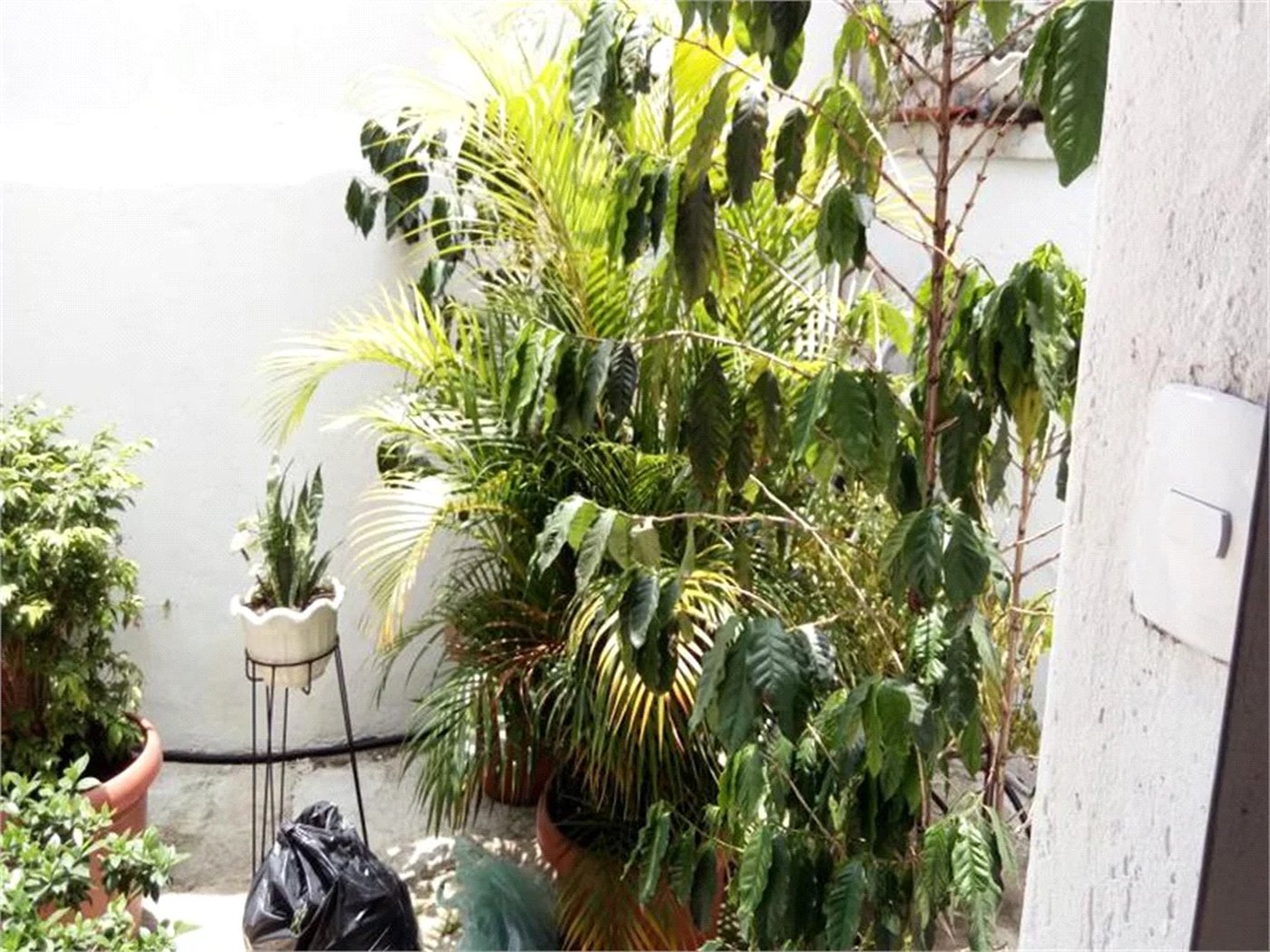 Casa de Vila à venda com 1 quarto em Pinheiros, São Paulo, SP