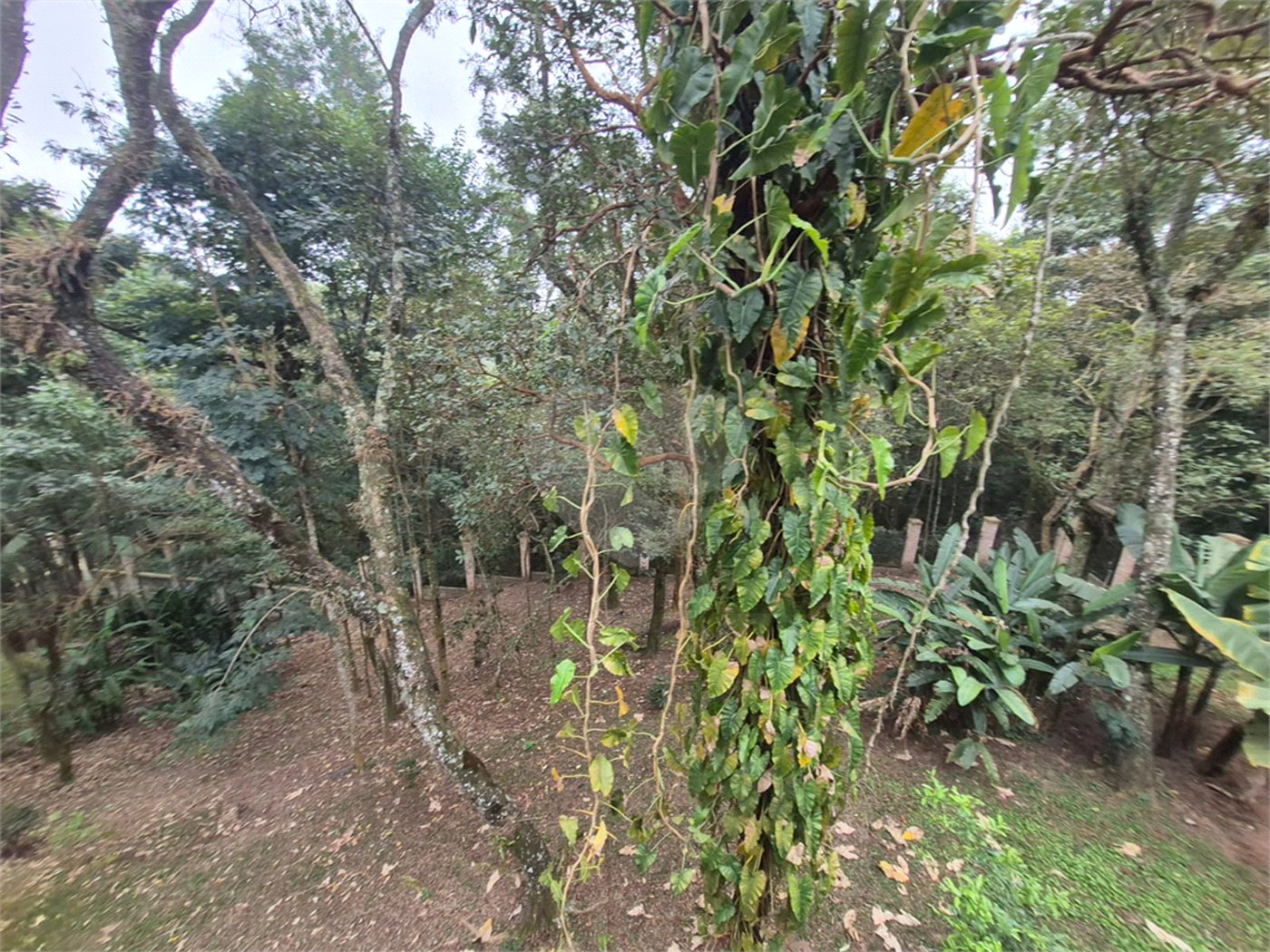 Sobrado para alugar com 4 suítes em Serra da Cantareira, Mairiporã, SP