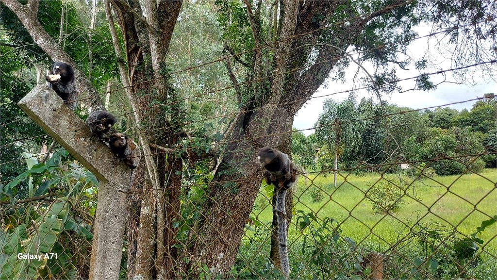 Chácara à venda em Sorocamirim (canguera), São Roque, SP