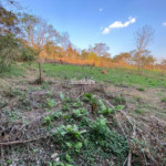 Terreno à venda em Jardim Paulista, Atibaia, SP