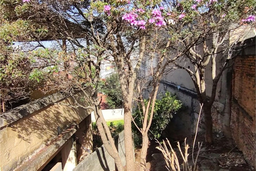 Terreno à venda em Vila Gustavo, São Paulo, SP