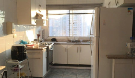 Apartamento à venda com 3 quartos, sendo 2 suítes, em Cambuci, São Paulo, SP