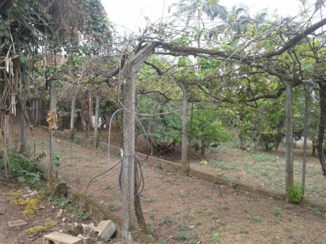 Terreno à venda em Horto Florestal, São Paulo, SP