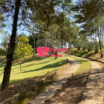 SITIO A VENDA, 33.000,OOM² COM 3 DORMITORIOS 1 SENDO SÚITE, 2 BANHEIROS, BAIRRO BOA VISTA, CAÇAPAVA