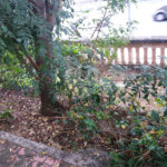 Terreno à venda com 3 quartos em Vila Guilherme, São Paulo, SP