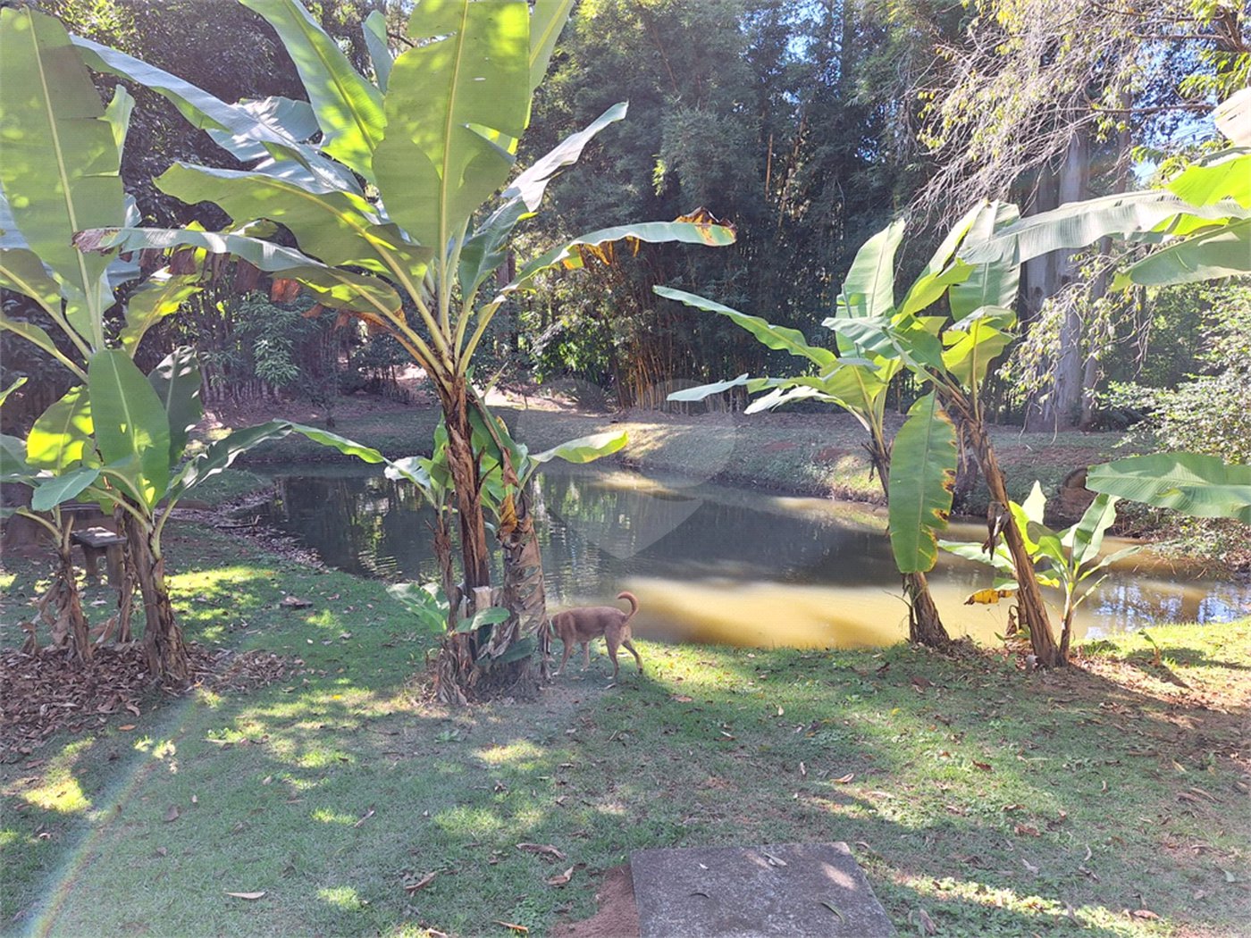 Chácara à venda com 3 quartos, sendo 1 suíte, em Chácara de Recreio Jardim Alvorada, Botucatu, SP