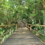 Terreno à venda no condomínio Golden Park Residence, Sorocaba - SP