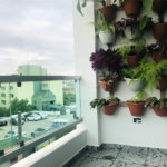 Sobrado à venda com 3 quartos, sendo 1 suíte, em Vila Romero, São Paulo, SP
