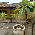 Casa à venda com 4 quartos, sendo 1 suíte, em Praia Rasa, Armação dos Búzios, RJ