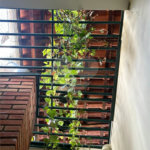Sobrado à venda com 2 quartos em Vila Constança, São Paulo, SP