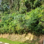Terreno à venda no condomínio Parque Imperial da Cantareira, Mairiporã - SP