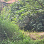 Terreno à venda em Barreiro, Mairiporã, SP