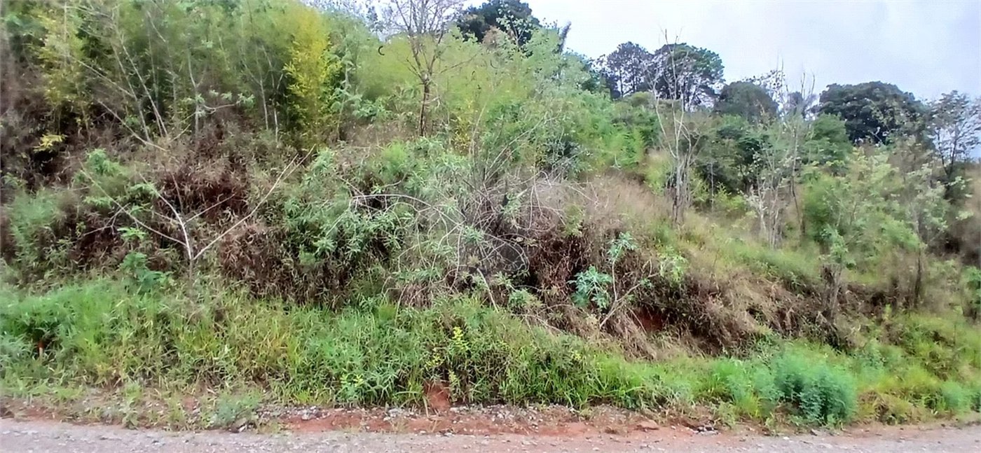 Terreno à venda em Luiz Fagundes, Mairiporã, SP