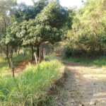 Terreno à venda com 3 quartos em Chácara Malota, Jundiaí, SP