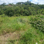 Terreno à venda com 1 quarto em Bairro Biscoito Duro, Itapetininga, SP